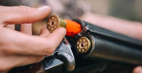 Felon in Possession of Firearm