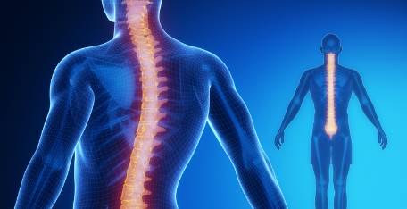 Spinal Cord Injuries & Paralysis
